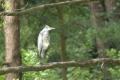 dsc_9173.jpeg