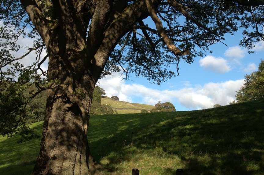 dsc_1095