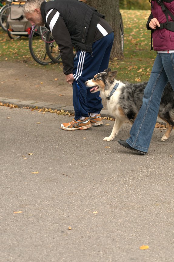 dsc_1721
