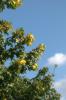 dsc_1233.jpeg